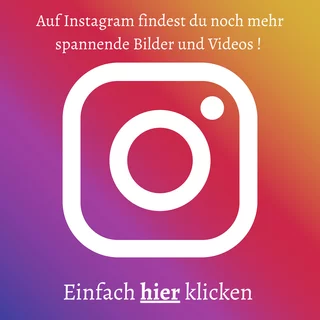 Hier geht es direkt zu Instagram