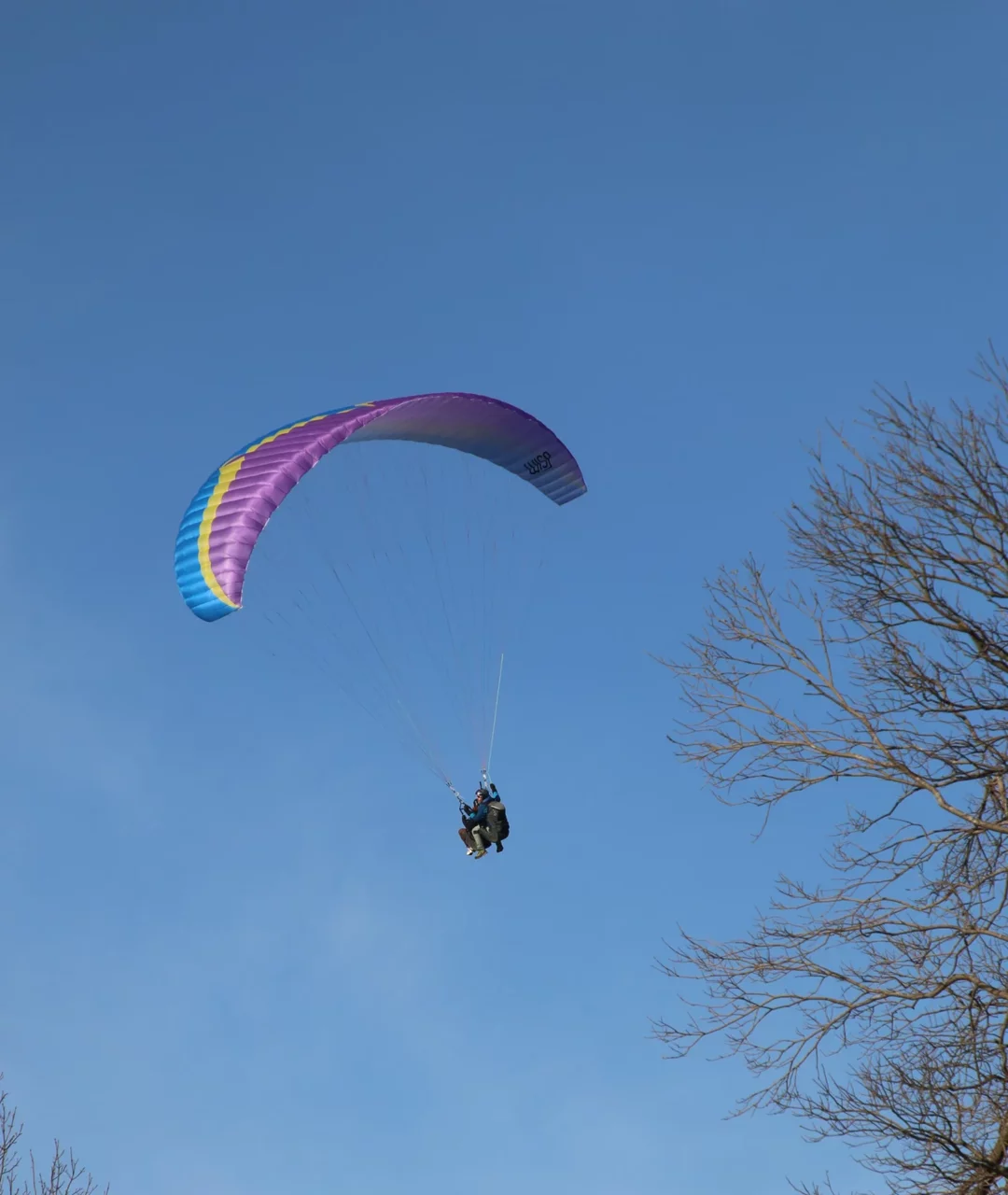 Gleitschirm Tandemflug